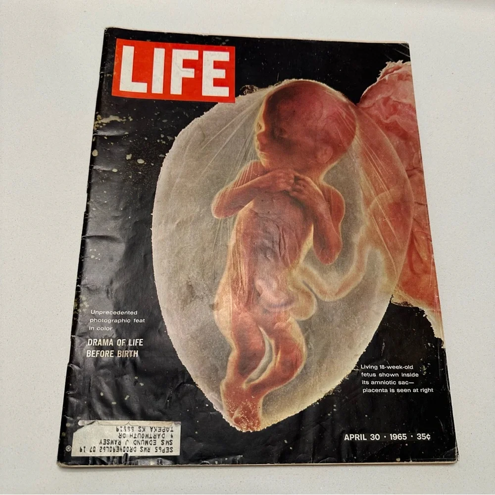 Vintage LIFE Magazine Set‎ of 2 - Drama of Life before birth 1965, science 1959